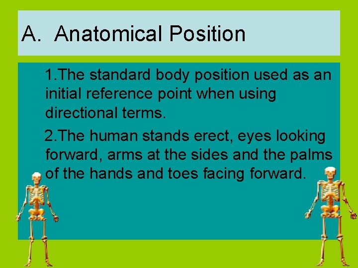 A. Anatomical Position 1. The standard body position used as an initial reference point