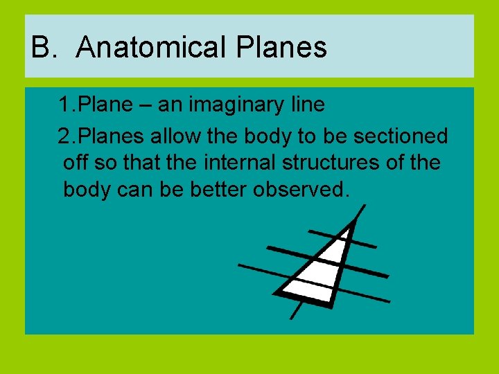 B. Anatomical Planes 1. Plane – an imaginary line 2. Planes allow the body