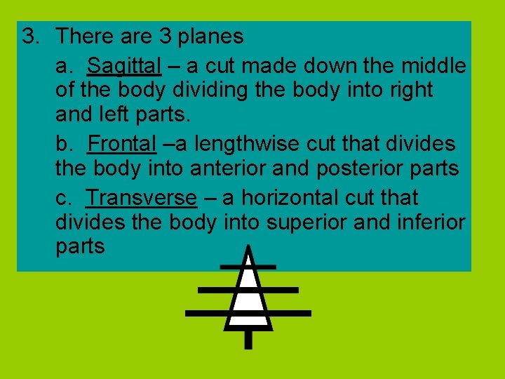 3. There are 3 planes a. Sagittal – a cut made down the middle