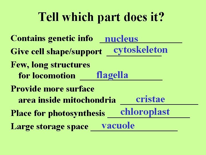 Tell which part does it? Contains genetic info _________ nucleus cytoskeleton Give cell shape/support