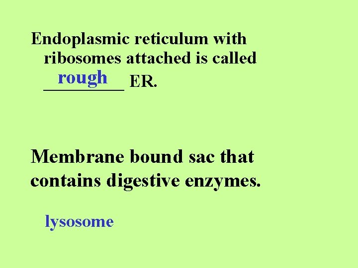 Endoplasmic reticulum with ribosomes attached is called rough ER. _____ Membrane bound sac that