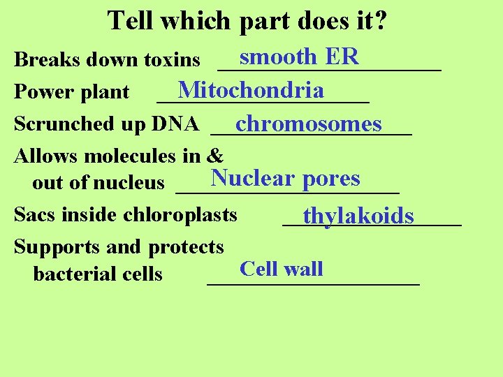Tell which part does it? smooth ER Breaks down toxins __________ Mitochondria Power plant