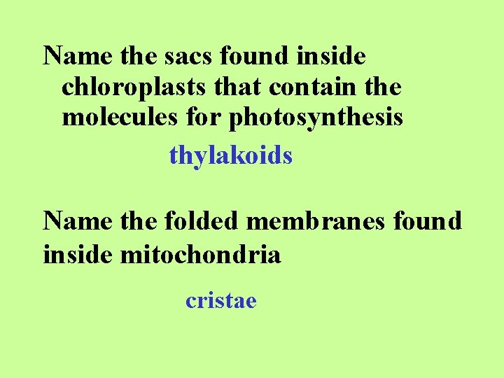 Name the sacs found inside chloroplasts that contain the molecules for photosynthesis thylakoids Name