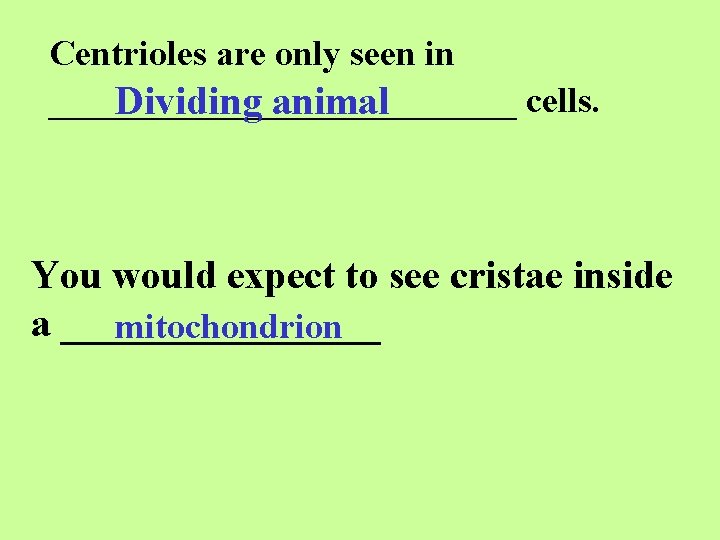 Centrioles are only seen in _____________ cells. Dividing animal You would expect to see