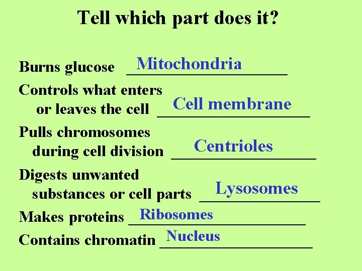 Tell which part does it? Mitochondria Burns glucose __________ Controls what enters Cell membrane