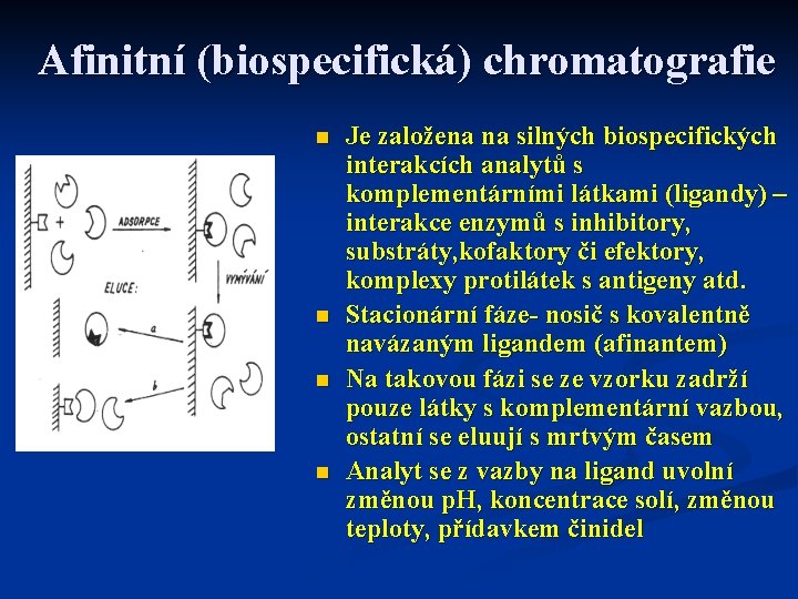 Afinitní (biospecifická) chromatografie n n Je založena na silných biospecifických interakcích analytů s komplementárními