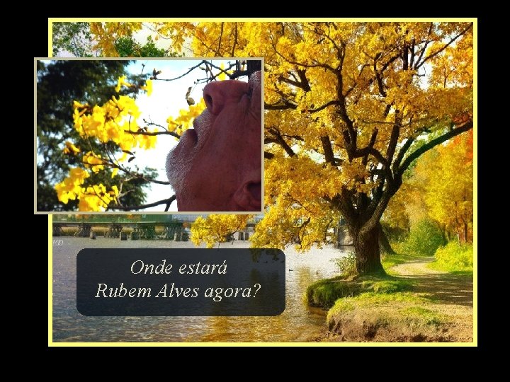 Onde estará Rubem Alves agora? 