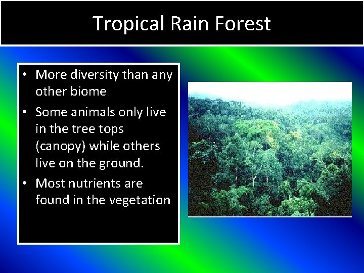 Tropical Rain Forest • More diversity than any other biome • Some animals only
