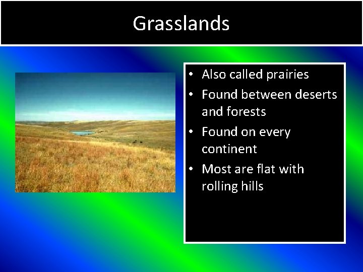 Grasslands • Also called prairies • Found between deserts and forests • Found on