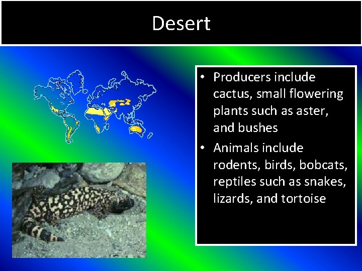 Desert • Producers include cactus, small flowering plants such as aster, and bushes •