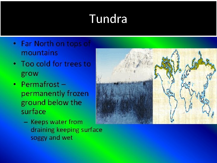Tundra • Far North on tops of mountains • Too cold for trees to