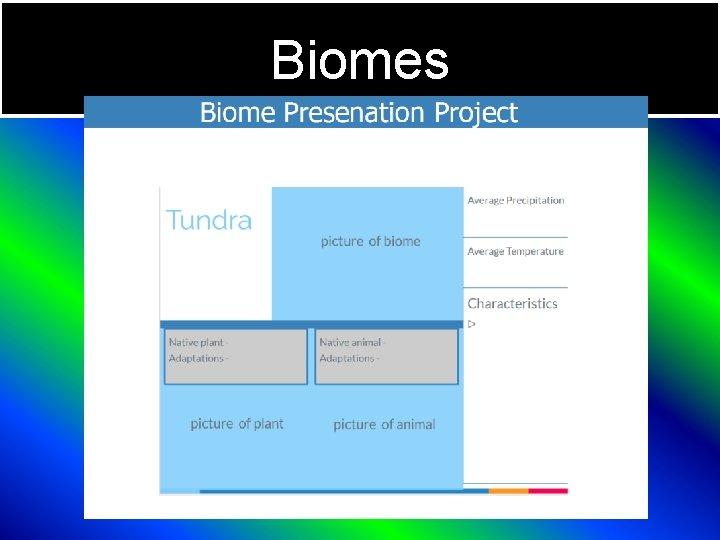 Biomes 