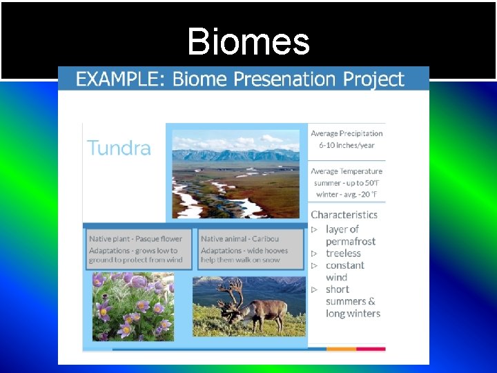 Biomes 