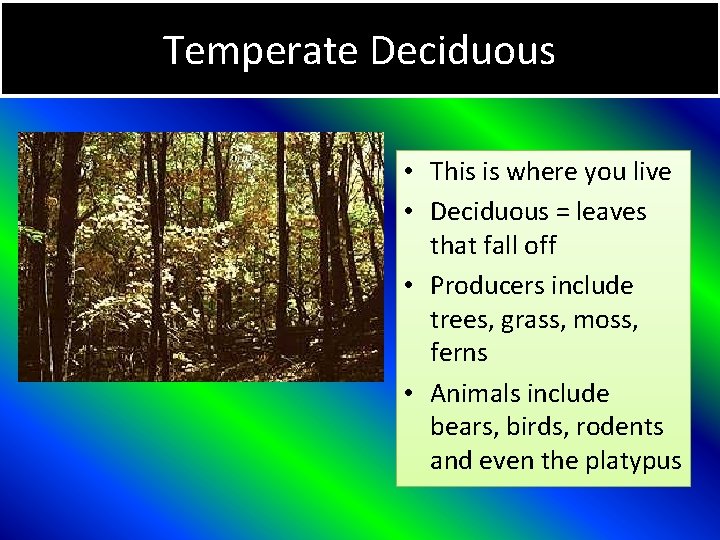 Temperate Deciduous • This is where you live • Deciduous = leaves that fall