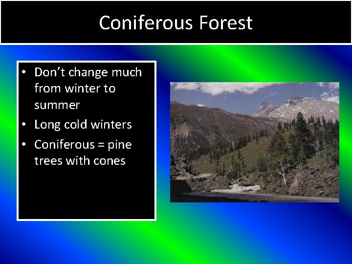 Coniferous Forest • Don’t change much from winter to summer • Long cold winters