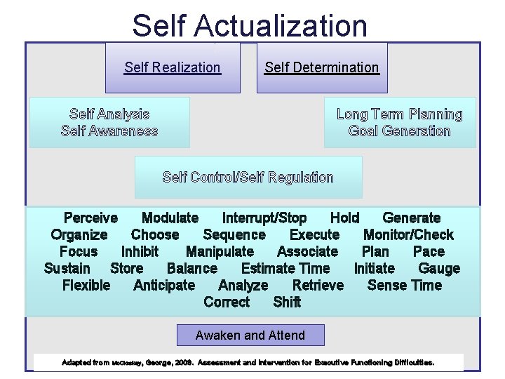 Self Actualization Self Realization Self Determination Self Analysis Self Awareness Long Term Planning Goal