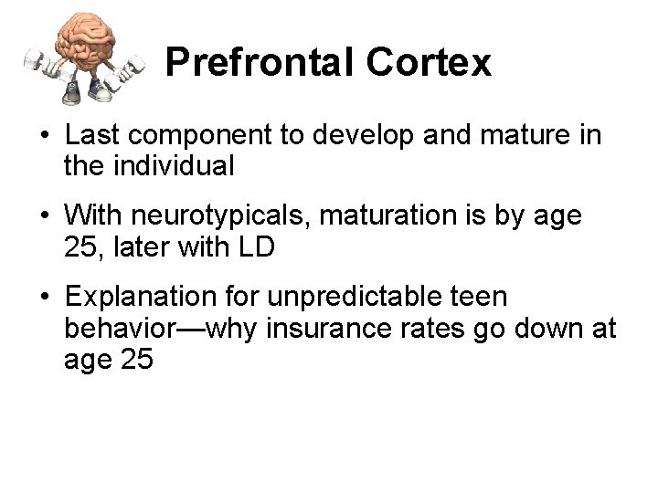 Prefrontal Cortex • Last component to develop and mature in the individual • With