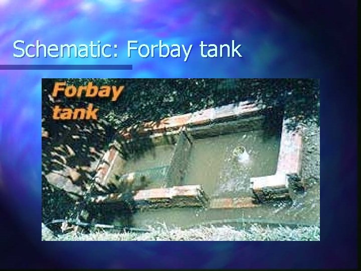Schematic: Forbay tank 