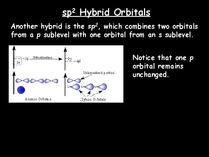 sp 2 Hybrid Orbitals Another hybrid is the sp 2, which combines two orbitals