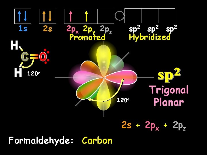 1 s 2 s 2 px 2 py 2 pz Promoted sp 2 Hybridized