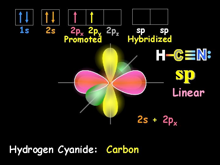 1 s 2 s sp sp 2 px 2 py 2 pz Hybridized Promoted