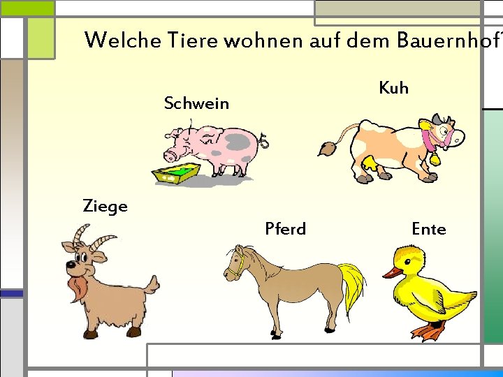 Welche Tiere wohnen auf dem Bauernhof? Kuh Schwein Ziege Pferd Ente 