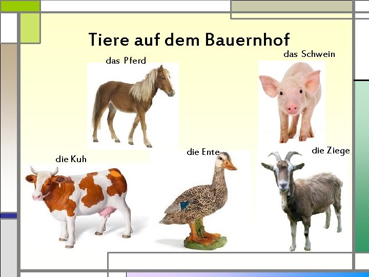 Tiere auf dem Bauernhof das Schwein das Pferd die Kuh die Ente die Ziege