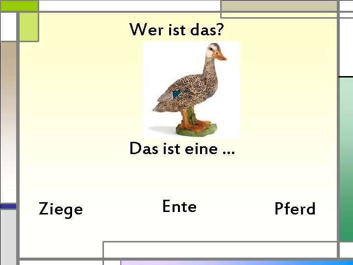 Wer ist das? Das ist eine … Ziege Ente Pferd 