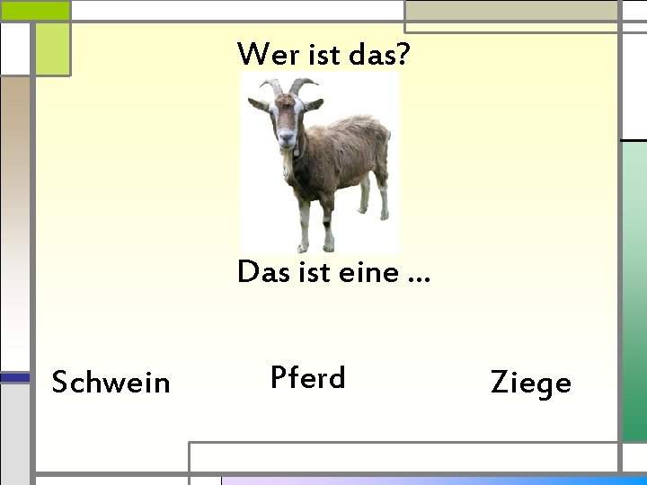 Wer ist das? Das ist eine … Schwein Pferd Ziege 