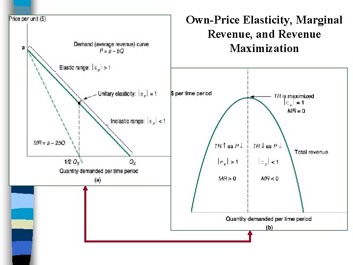 Own-Price Elasticity, Marginal Revenue, and Revenue Maximization 