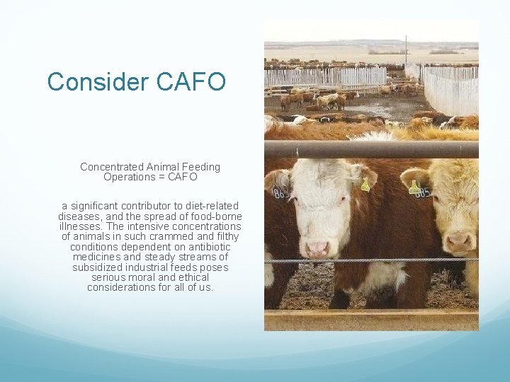 Consider CAFO Concentrated Animal Feeding Operations = CAFO a significant contributor to diet-related diseases,