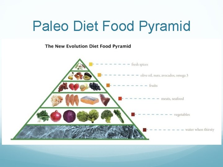 Paleo Diet Food Pyramid 