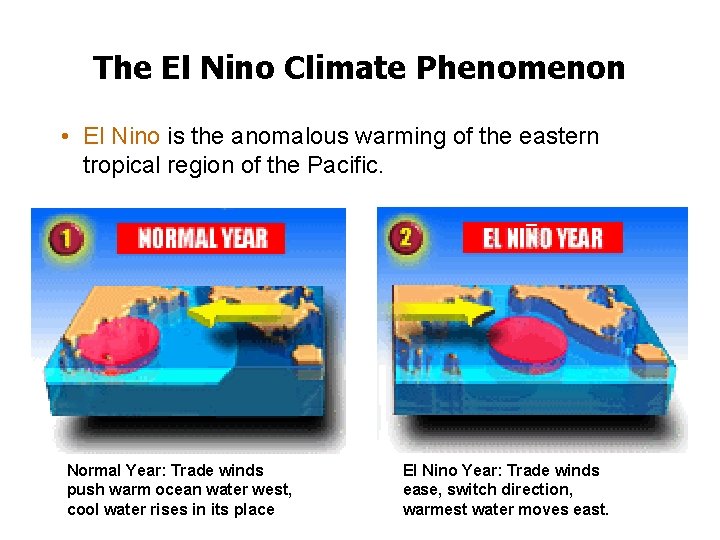 The El Nino Climate Phenomenon • El Nino is the anomalous warming of the