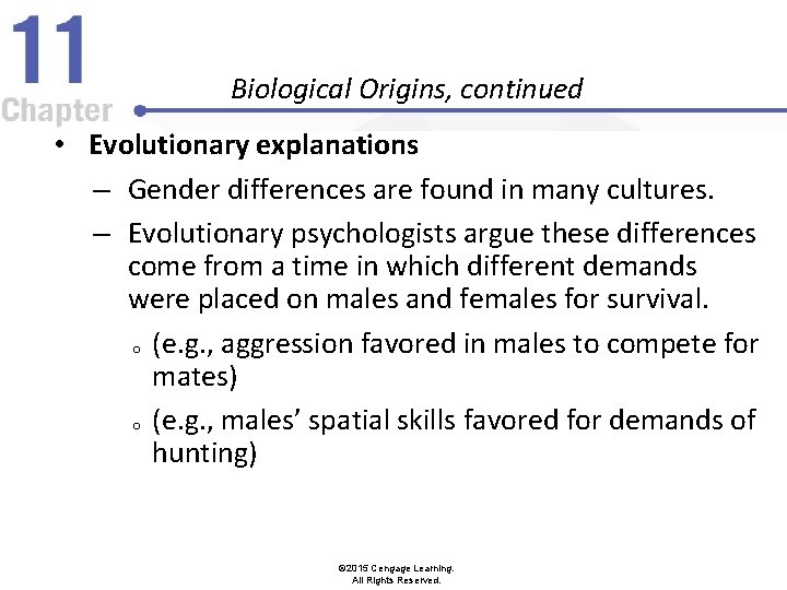 Biological Origins, continued • Evolutionary explanations – Gender differences are found in many cultures.