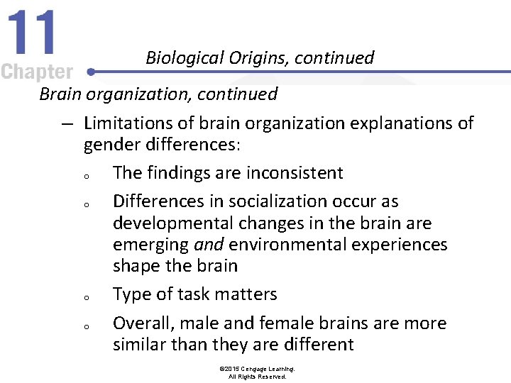 Biological Origins, continued Brain organization, continued – Limitations of brain organization explanations of gender