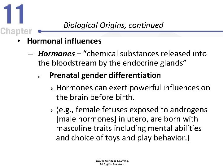 Biological Origins, continued • Hormonal influences – Hormones – “chemical substances released into the