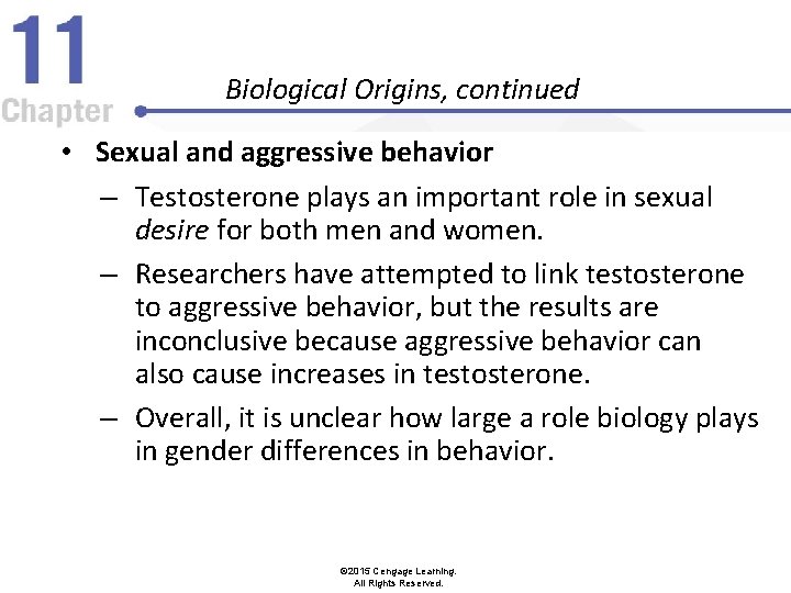Biological Origins, continued • Sexual and aggressive behavior – Testosterone plays an important role