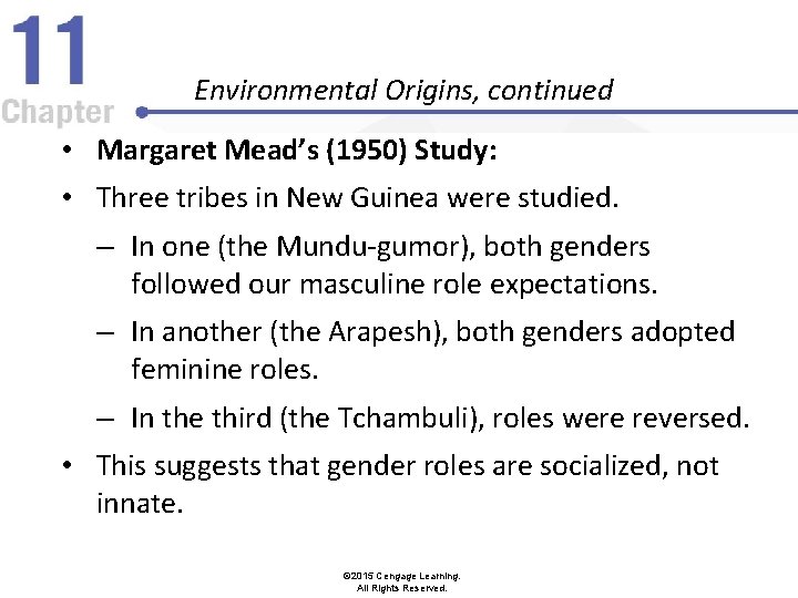 Environmental Origins, continued • Margaret Mead’s (1950) Study: • Three tribes in New Guinea