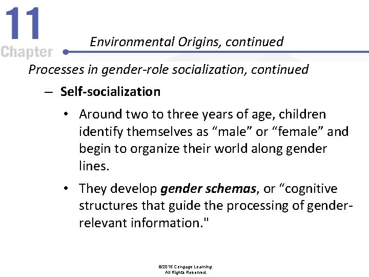 Environmental Origins, continued Processes in gender-role socialization, continued – Self-socialization • Around two to