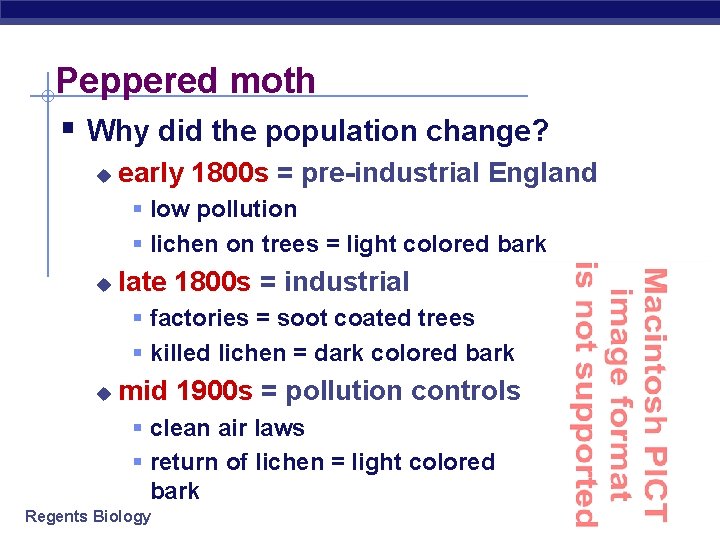 Peppered moth § Why did the population change? u early 1800 s = pre-industrial