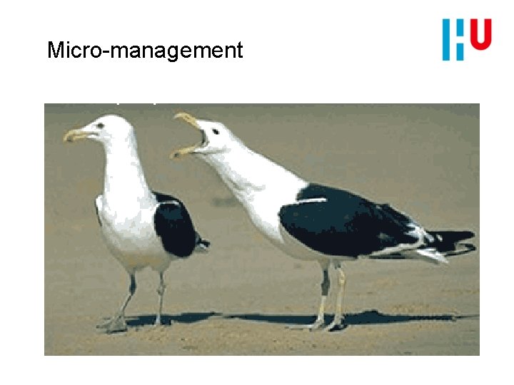 Micro-management 