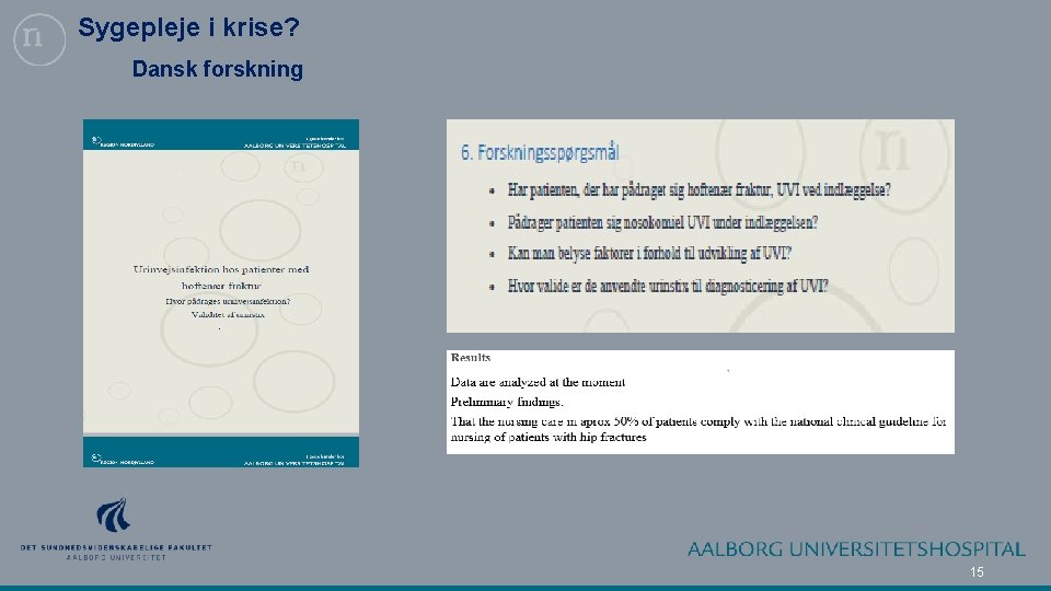 Sygepleje i krise? Dansk forskning 15 