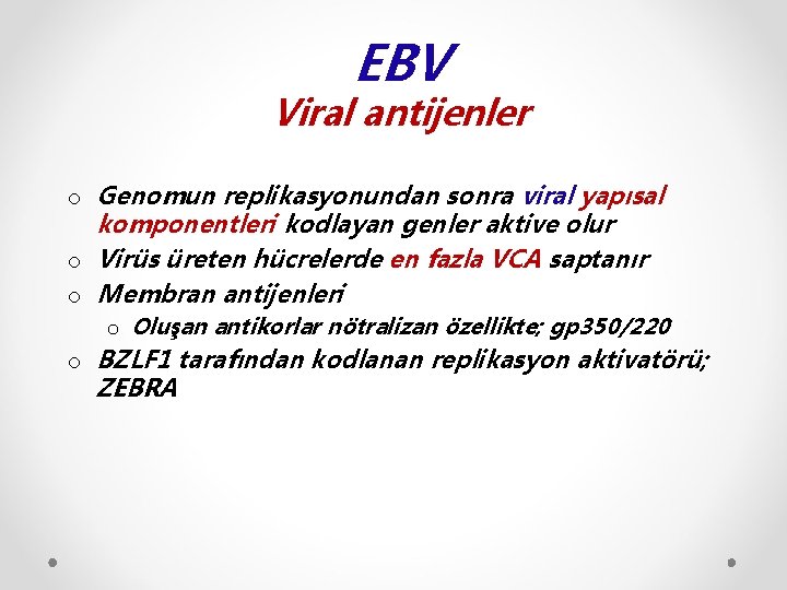 EBV Viral antijenler o Genomun replikasyonundan sonra viral yapısal komponentleri kodlayan genler aktive olur