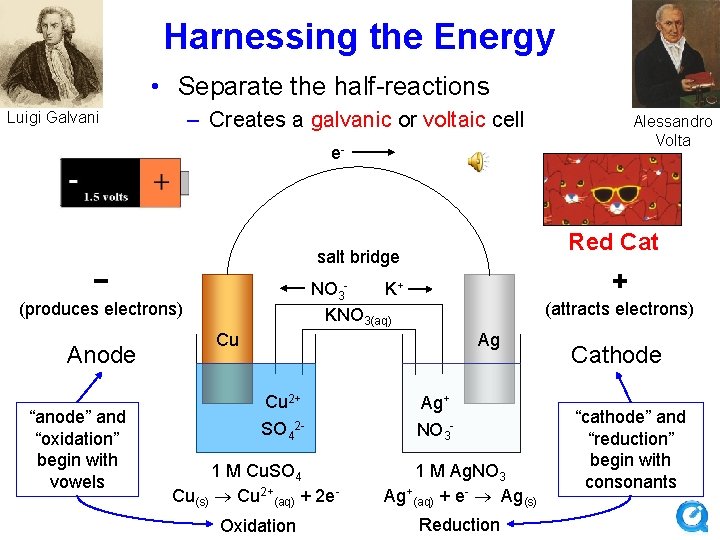 Harnessing the Energy • Separate the half-reactions – Creates a galvanic or voltaic cell