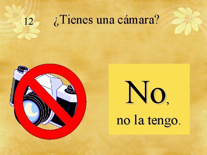 12 ¿Tienes una cámara? No, no la tengo 