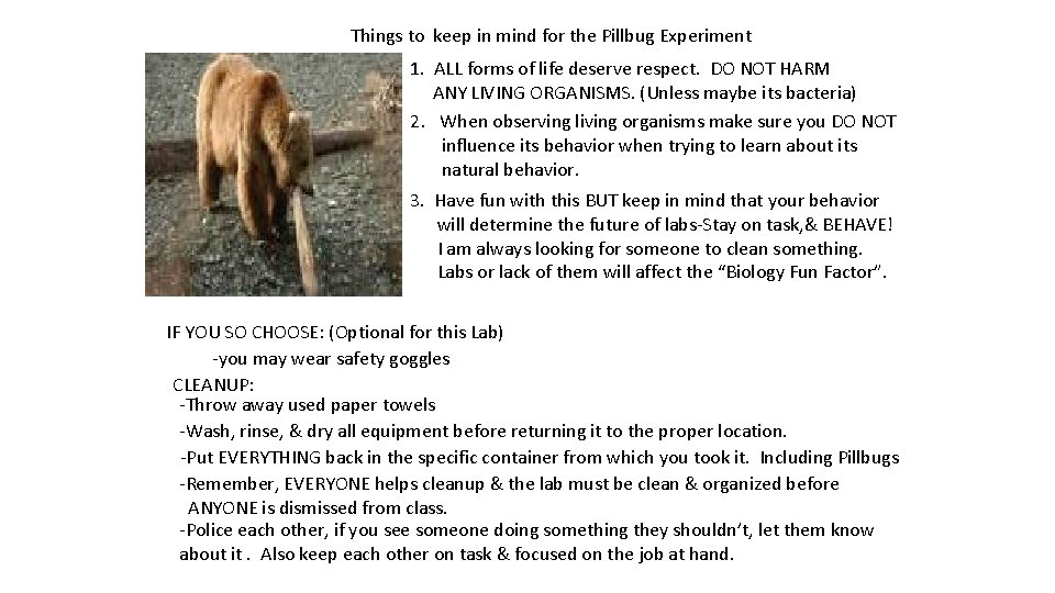 Things to keep in mind for the Pillbug Experiment 1. ALL forms of life