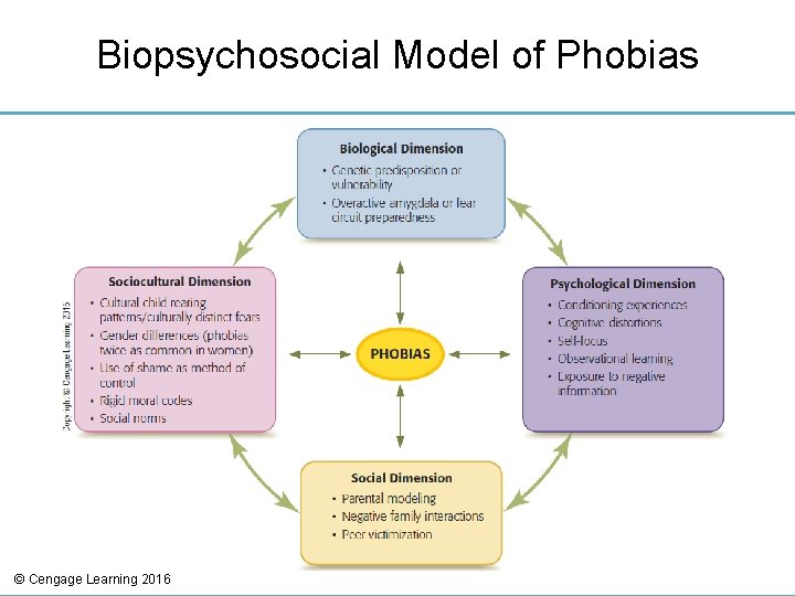 Biopsychosocial Model of Phobias © Cengage Learning 2016 