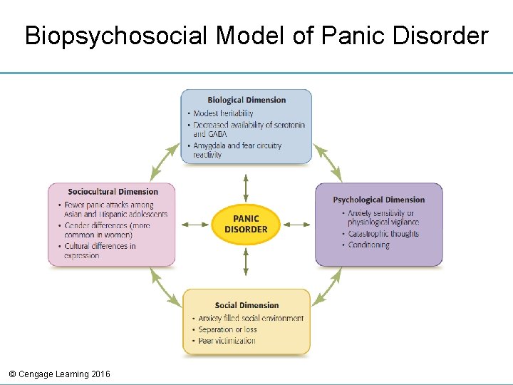 Biopsychosocial Model of Panic Disorder © Cengage Learning 2016 