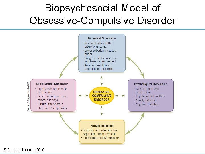 Biopsychosocial Model of Obsessive-Compulsive Disorder © Cengage Learning 2016 