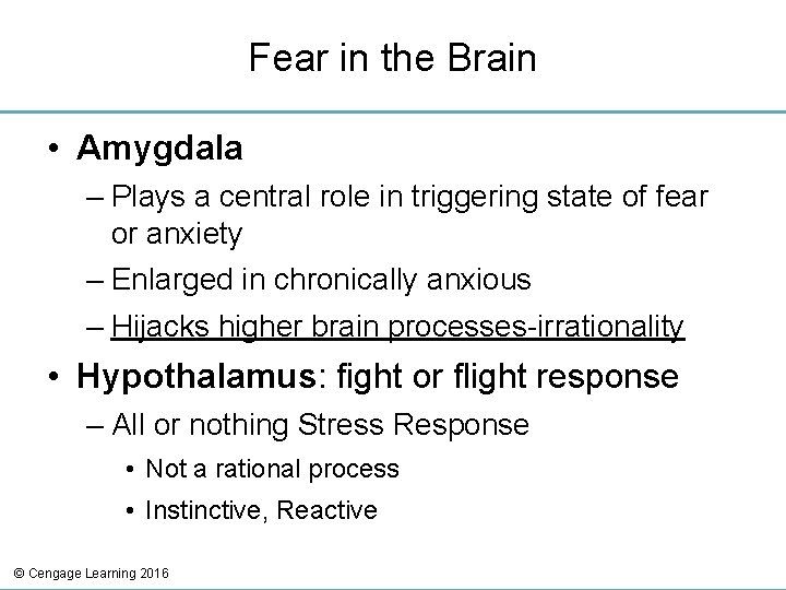 Fear in the Brain • Amygdala – Plays a central role in triggering state